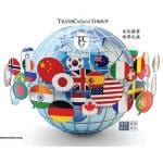 tcg magnet puzzle